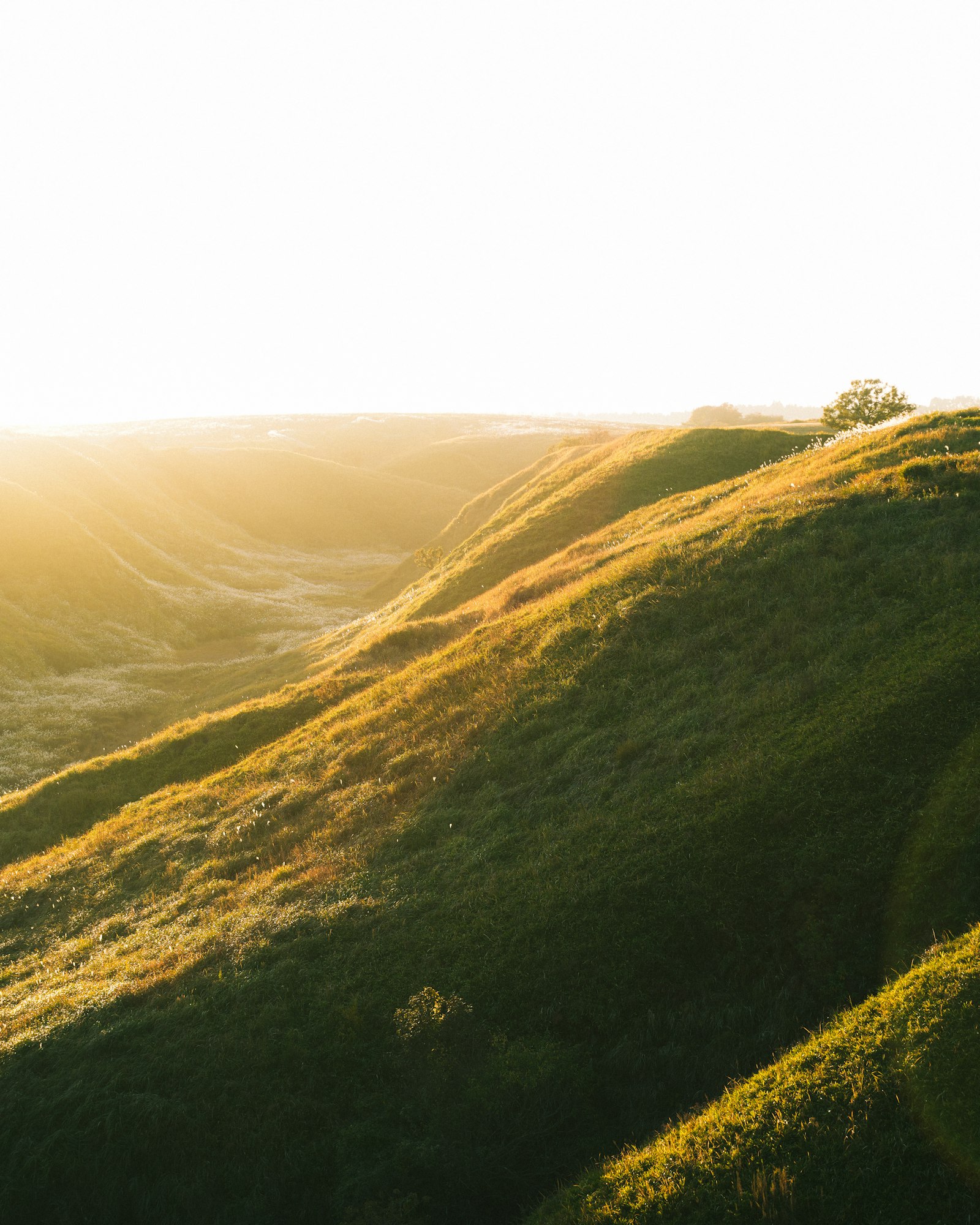 A traveller standing on a viewpoint above rolling hills at golden hour